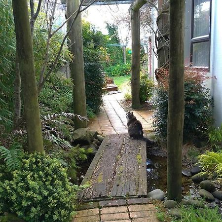 Secret Cottage Waitara Exterior foto