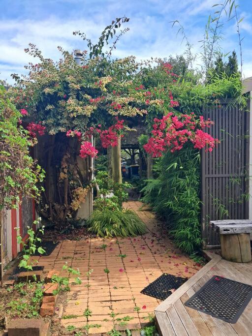 Secret Cottage Waitara Exterior foto