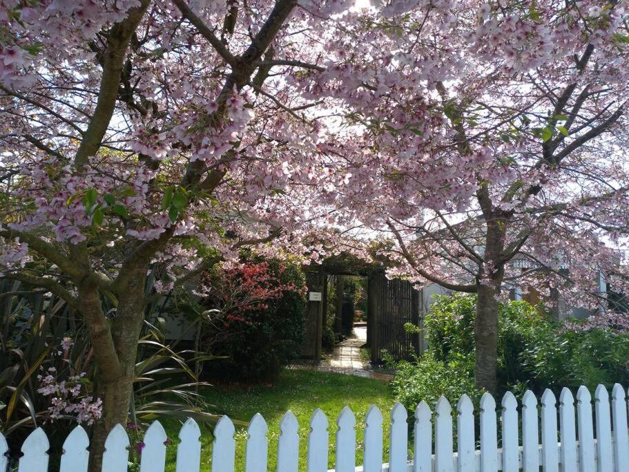 Secret Cottage Waitara Exterior foto