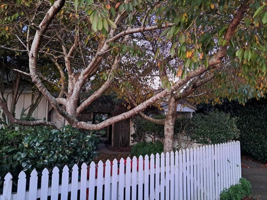 Secret Cottage Waitara Exterior foto